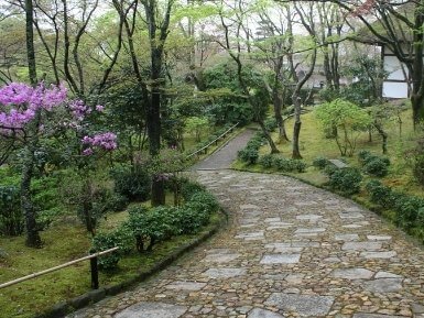 best continuing care knoxville